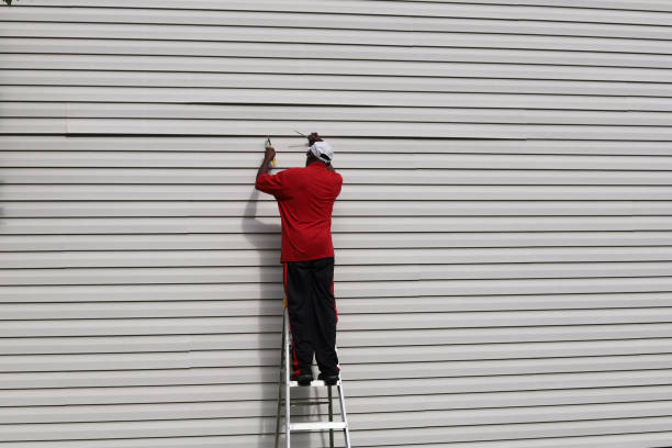 Affordable Siding Repair and Maintenance Services in Millville, NJ